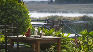 Un safari gastronomique, cela vous dit ?