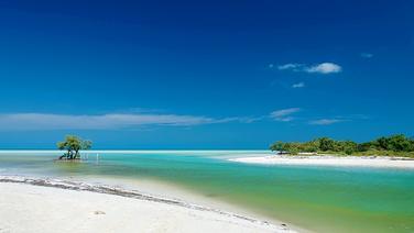 Holbox est une île calme où l'on se déplace à pied ou à vélo sur des routes en sable.