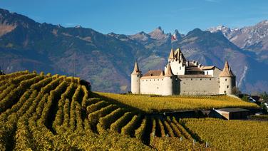 Aux confins du canton de Vaud, le château d'Aigle se dresse face aux Alpes.