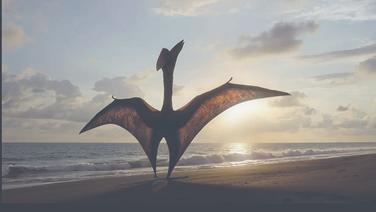 Planète préhistorique : irrésistibles dinosaures sur Apple TV+