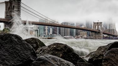 Le Brooklyn Bridge fut achevé en 1883, après quatorze années de travaux. Beaucoup de New-Yorkais refusaient alors d'emprunter le pont, doutant de sa résistance.