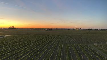 Primeurs 2023 : des remises de 40%, mais qu'en est-il des vins ? Notre analyse du millésime 2023 à Bordeaux