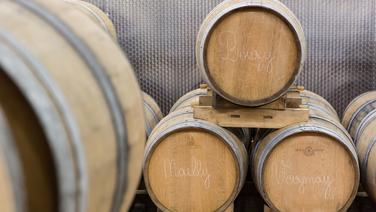 Viser loin : l’ambition de la cuvée N.P.U. 2009