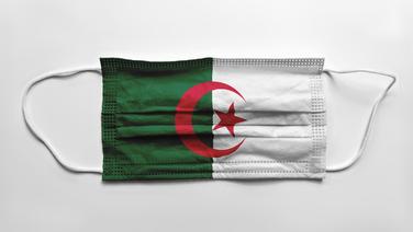 «Scandale médical» ou «mensonge» ? Vive polémique autour de la dette de l’Algérie envers les hôpitaux français