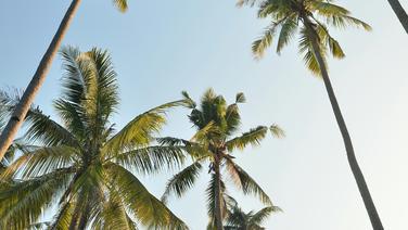 Photo de Madib zikri sur Unsplash