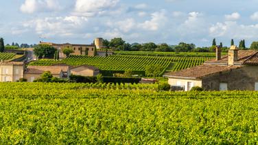 «De jeunes vignes, mais plantées sur de grands terroirs» : nos 20 seconds vins favoris des grands châteaux bordelais, disponibles en primeur