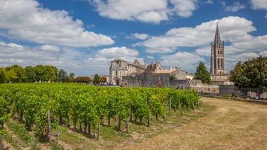 Ces 10 vins de Bordeaux 2024 dont les notes ont progressé malgré un millésime compliqué, disponibles en primeur