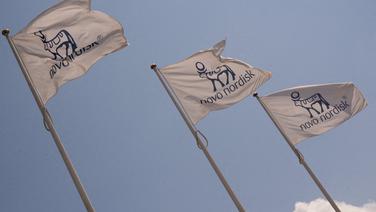 Novo Nordisk : le cours plonge suite à l’échec de son médicament phare face à Alzheimer