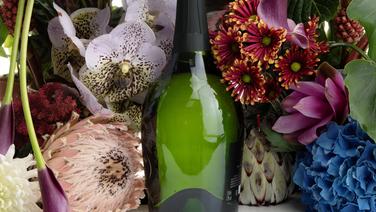 Champagne : voyage en botanique