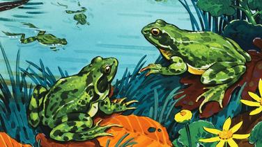 Soigner son manque de concentration en regardant des grenouilles : la salutaire leçon d’Apolline Guillot