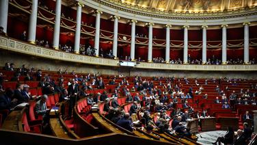 Lutte contre l’islamisme : «Pourquoi l’interdiction des Frères musulmans est une fausse bonne idée»