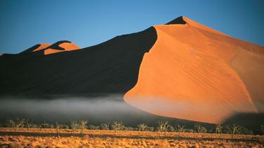«Pour escalader une dune, il faut la prendre en zigzag » : vous partez dans le désert ? Suivez les conseils de ces guides