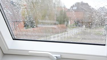 Météo du mercredi 18 février : nouvelle dégradation avec l’arrivée de la tempête Pedro