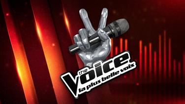 The Voice Café à Villeneuve-d’Ascq dans le Nord : combien ça coute de louer une salle de karaoké dans ce lieu inspiré de l’émission ?
