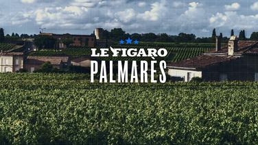 Bordeaux : notre grand palmarès des 100 plus grands vins rouges du millésime 2025 en primeur