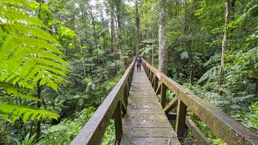 Sur le segment 4 de la Waitukubuli Trail. Ile de la Dominique.