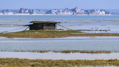 La baie de Somme est un lieu d'observation privilégié d'oiseaux migrateurs et de phoques veaux marins.