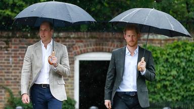 Harry et William, frères éloignés : leur relation peut-elle encore s’apaiser ?