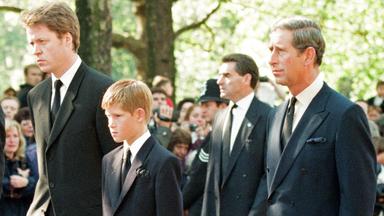 Le frère de Diana lâche les chiens contre Charles III : le rôle du prince Harry éclate au grand jour