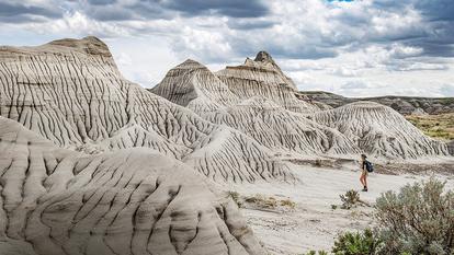 Le billard de prairies et de champs de colza des Grandes Plaines canadiennes se creuse de canyons sinueux gorgés de fossiles de dinosaures.