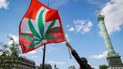 Une quarantaine de personnes ont manifesté samedi 29 mai à Paris pour réclamer la légalisation du cannabis.