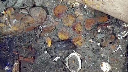 Englouti depuis des siècles, le Galion espagnol aux soixante canons renferme toujours ses trésors.