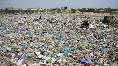 Dans son nouveau rapport, l'IPBES dénonce la «marchandisation» de la nature présente dans les politiques publiques.