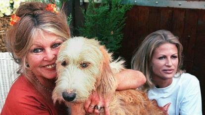 L’actrice est revenue dans le magazine Le Point sur ses combats pour défendre la cause animale.