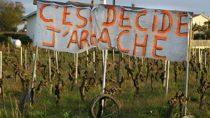 VAUD A OUVERT UN GUICHET POUR ANTICIPER L ARRACHAGE DE LA VIGNE visual data 8
