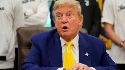 Donald Trump à la Maison-Blanche, le 18 juin 2025.