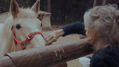 Brigitte Bardot caressant l’un de ses chevaux préférés dans le film documentaire Bardot, en salles le 3 décembre 2025.