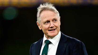 Joe Schmidt, le sélectionneur des Boks.