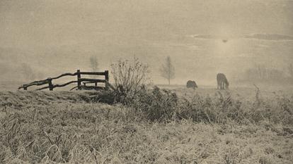Peter Henry Emerson, A Winter’s Sunrise, 1895.
