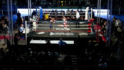 Le boxeur iranien Mohammad Javad Vafaei-Sani risque une exécution imminente.