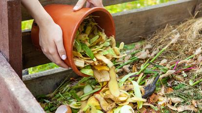 Seuls 58 % des Français affirment trier leurs biodéchets.