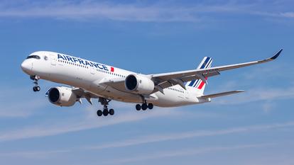 Air France indique que les clients ont été pris en charge et que des solutions d’hébergement leur ont été proposées.