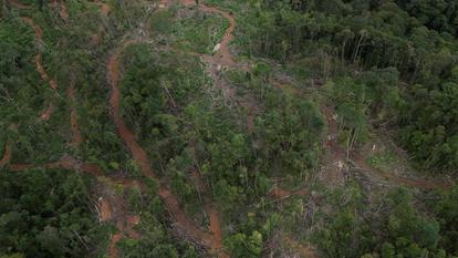 Zone de défrichage dans la forêt tropicale de Sipirok, en Indonésie, 8 décembre 2025.