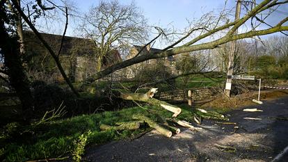 Câbles électriques rompus et des arbres tombés bloquant une route, après le passage de la tempête Goretti, à Dodainville, près de Saint-Marcouf, dans le nord-ouest de la France, ce vendredi 9 janvier 2026.