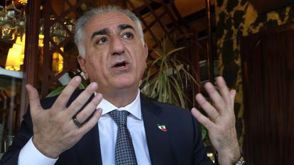 رضا بهلوي، التقطت صورته عام 2023.