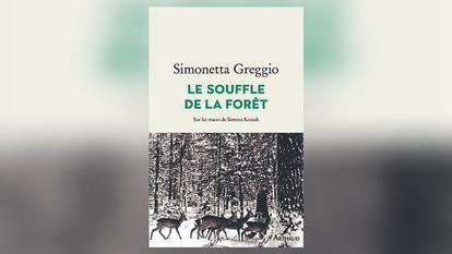 Le souffle de la forêt, de Simonetta Greggio: portrait de femme au fond ...
