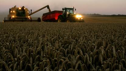 Des agriculteurs en pleine moisson dans un champ de blé.