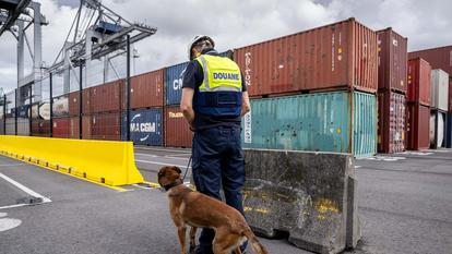Un douanier et un chien renifleur se tiennent à côté de conteneurs alors qu’ils font la démonstration de leurs compétences lors d’une visite de presse au port d’Anvers.