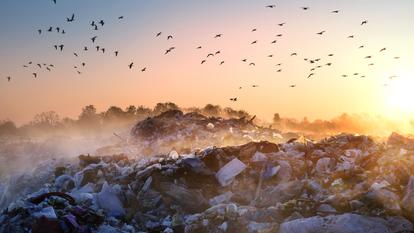 Plus de 20 fois plus de particules microplastiques sont émises sur terre que dans l’océan, selon l’étude.