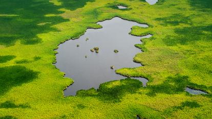 Les marais du Sudd au Sud Soudan sont l’une plus grande zones humides de la planète, et émettent une quantité de méthane sans doute colossale.