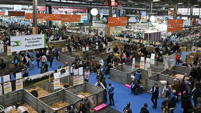 Des visiteurs dans les allées du Salon de l’Agriculture 2025.