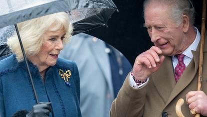 En pleine tempête Epstein, Charles III se dit prêt à collaborer avec la police anglaise.
