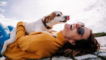 Si les animaux ne sont toujours pas reconnus comme « personnalités juridiques », leur sort dans le cadre d’une séparation dépend avant tout du type de contrat d’union.