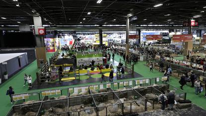Le Salon de l’Agriculture a pâti de l’absence des bovins, une première depuis 62 ans.