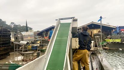 Le dispositif Oxyvir, mis en place après le drame de 2023, permet de surveiller la qualité des eaux des parcs à huîtres (photo d’illustration).