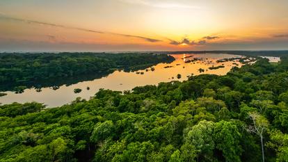 Vue aérienne de la forêt tropicale en Amazonie, au Brésil.